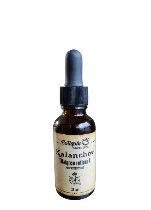Microdosis Kalanchoe Daigremontiana 30ml