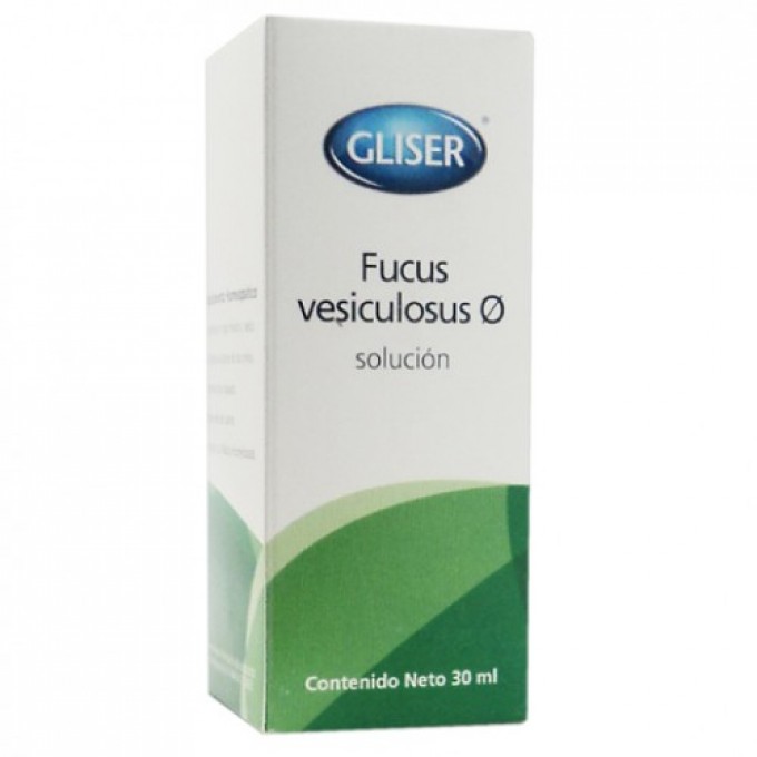 Gliser Fucus Vesiculosus