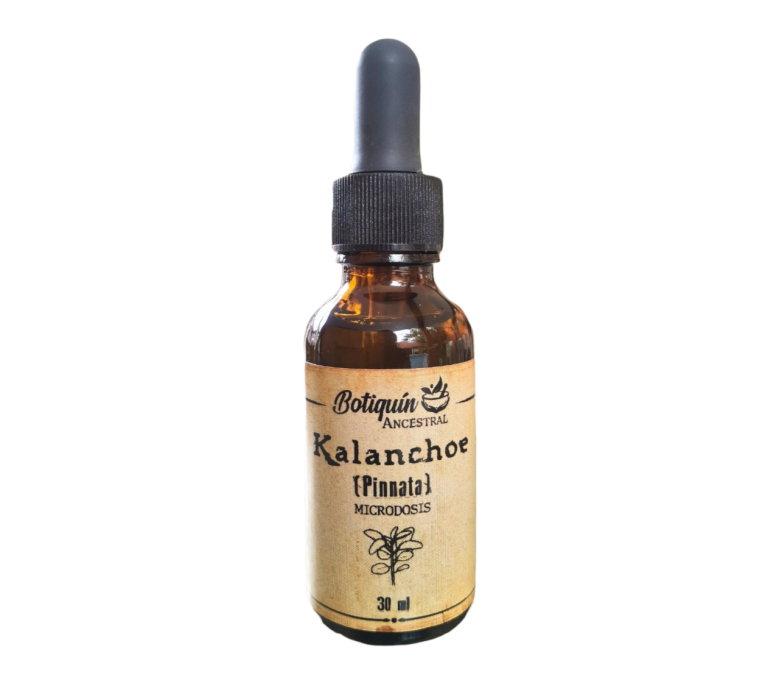 Microdosis Kalanchoe Pinnata 30ml